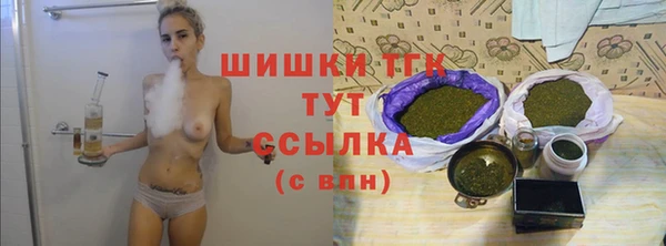 Альфа ПВП Богородск
