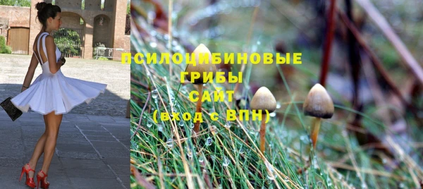 гашишное масло Богородицк