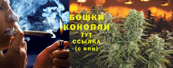 Альфа ПВП Богородск