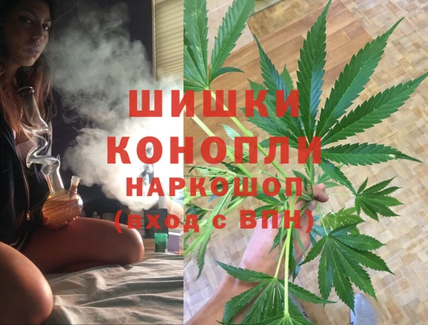 Альфа ПВП Богородск