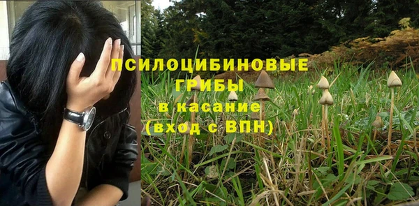 гашишное масло Богородицк