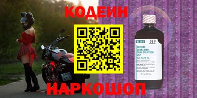 стаф Краснодар