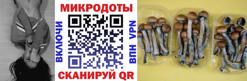 Галлюциногенные грибы Psilocybine cubensis  купить наркоту  Кузнецк 