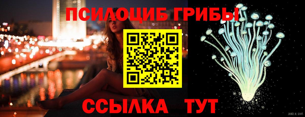 хочу наркоту  Галлюциногенные грибы Cubensis  Кузнецк  Вход с VPN  Галлюциногенные грибы Magic Shrooms 