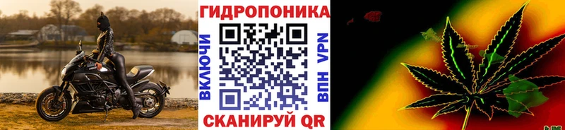 Бошки марихуана White Widow  Кузнецк 